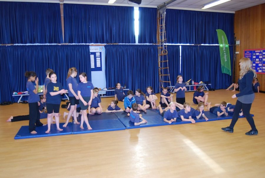 Animal Magic: Cultural Hub Project