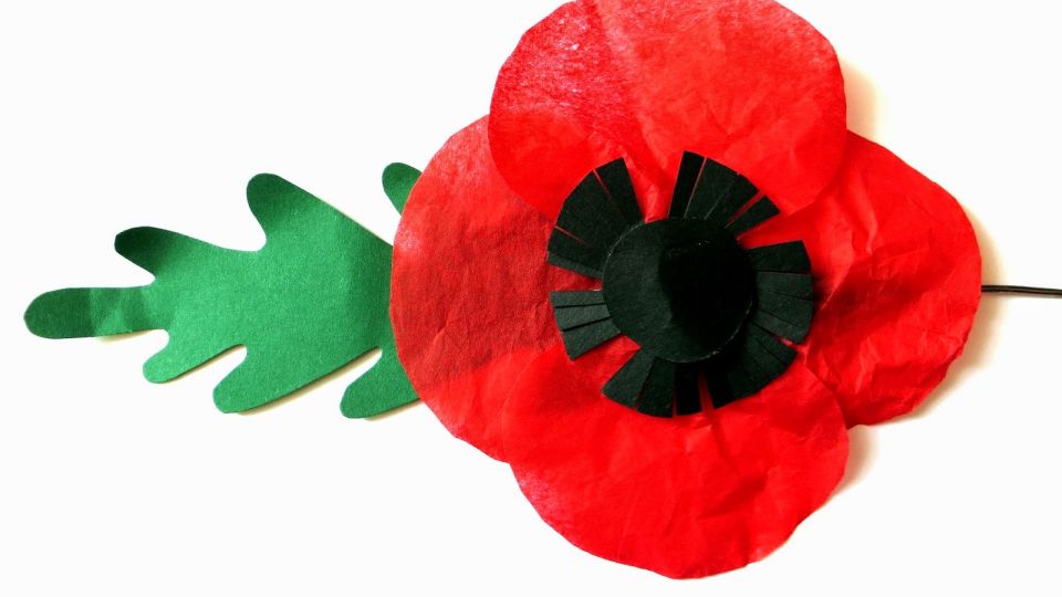 Poppy Fields